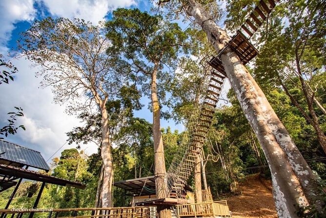 Sky Hawk Zipline Experience in Chiang Mai - The Climb Factor: Stairs, Bridges, and Being Ready for a Workout