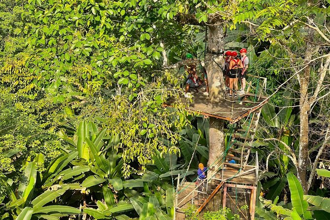 Sky Hawk Zipline Experience in Chiang Mai - What the Course Includes: Platforms, Ziplines, Bridges, and Abseiling