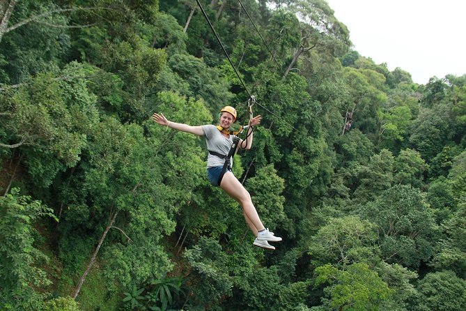 Skyline Jungle Zipline Adventure – Chiang Mai - Who This Tour Fits Best (and Who Should Rethink It)