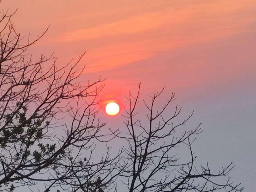Spiritual Sunrise Wat Doi Suthep, Pha Lat, Alms & Meditation - Climbing 306 Steps (or Taking the Tram): Plan for Your Morning Body
