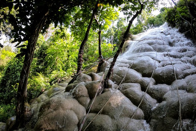 Sticky Waterfall Cycling Tour - Key things to know before you pedal