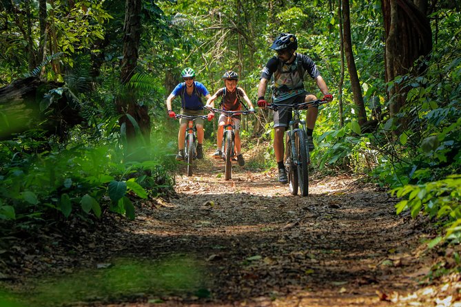 Sticky Waterfall Cycling Tour - Food that keeps you going: snacks during the ride, lunch at the end