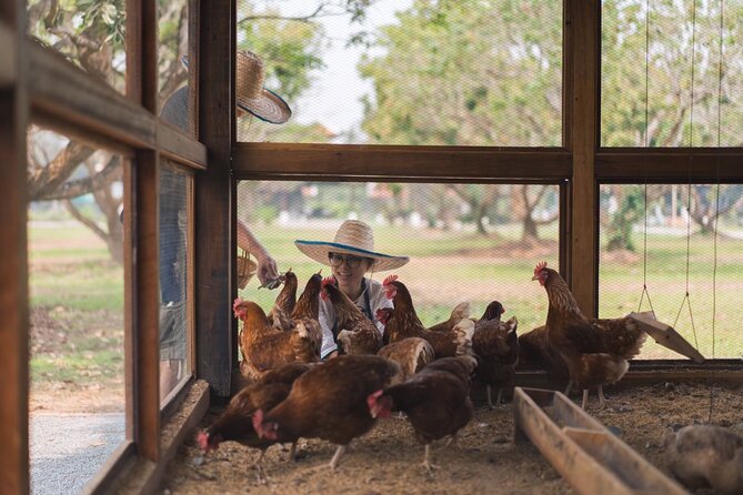 Sunset Thai Cooking with Grandma - Farm & Evening Feast - The five-dish feast: what you’ll cook and why it matters