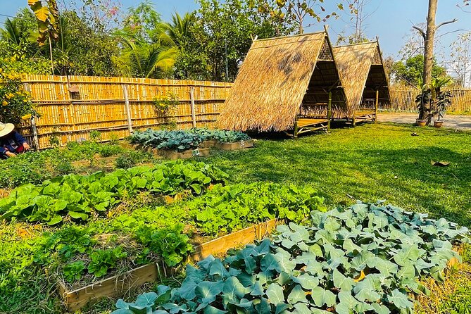 Team Aim Thai Cooking School (#1 Cooking Class in Chiang Mai) - Who Should Book This Class (and Who Might Skip It)
