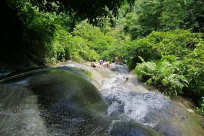 The Best Full Day Tour: Doi Suthep, Wat Phalat, Sticky Waterfall - Starting at 8:00 and the Mountain Drive to Doi Suthep