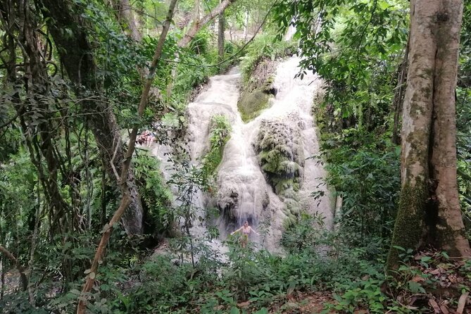 The Best Full Day Tour: Doi Suthep, Wat Phalat, Sticky Waterfall - Wat Pha Lat: A Forest Temple Visit That Feels Quieter
