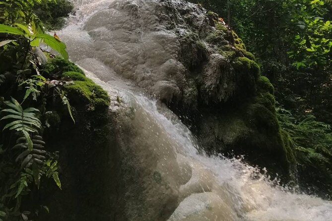 The Best Full Day Tour: Doi Suthep, Wat Phalat, Sticky Waterfall - Bua Thong Sticky Waterfall (Nam Phu Chet Si): What the Climb Is Like