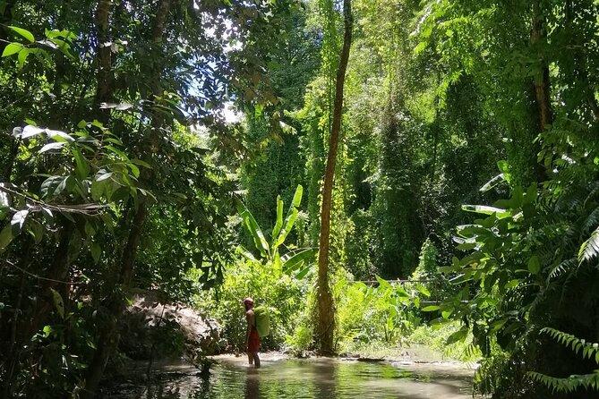 The Best Full Day Tour: Doi Suthep, Wat Phalat, Sticky Waterfall - Your Guide Changes the Day: Mongkol, Kiow, and On-the-Ground Help