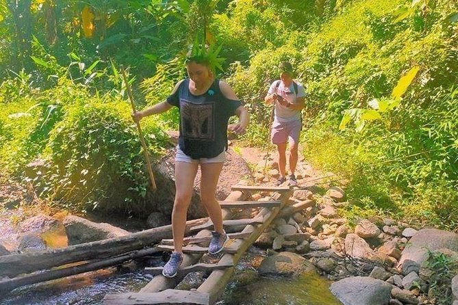 Top Pick - Full or Half Day @Elephant in Wild Sanctuary ChiangMai - Key Takeaways Before You Go