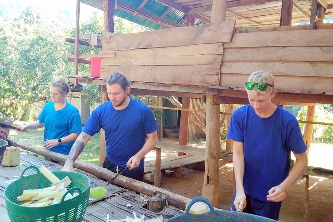 Top Pick - Full or Half Day @Elephant in Wild Sanctuary ChiangMai - Pickup, Timing, and Group Logistics in Real Life