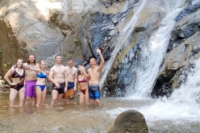 Top Pick - Full or Half Day @Elephant in Wild Sanctuary ChiangMai - Who Should Book (and Who Should Skip)