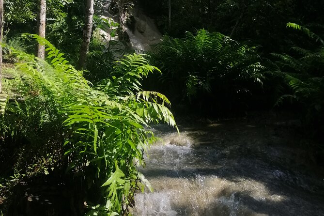 Visit Dantewada(Angel Land), Blue Temple, and Sticky Waterfall - Getting There Without the Headache: Pickup, Small Group, and Timing