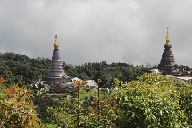 Wow! Doi Inthanon National Park Adventure, Lunch & Entry Included - Doi Inthanon’s highest point: short walk, birds, and the summit reality