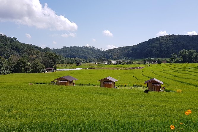 Wow! Doi Inthanon National Park Adventure, Lunch & Entry Included - Guides and group size: small-group attention with join-in logistics