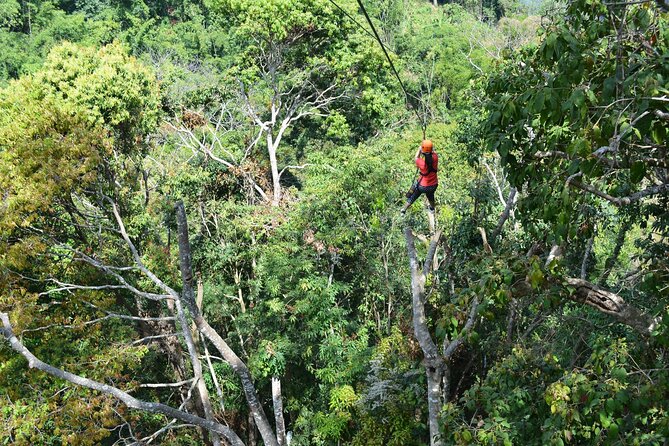 Zipline Adventure at Skyline Jungle Luge Chiang Mai - Value Check: Is $86.93 Worth It?
